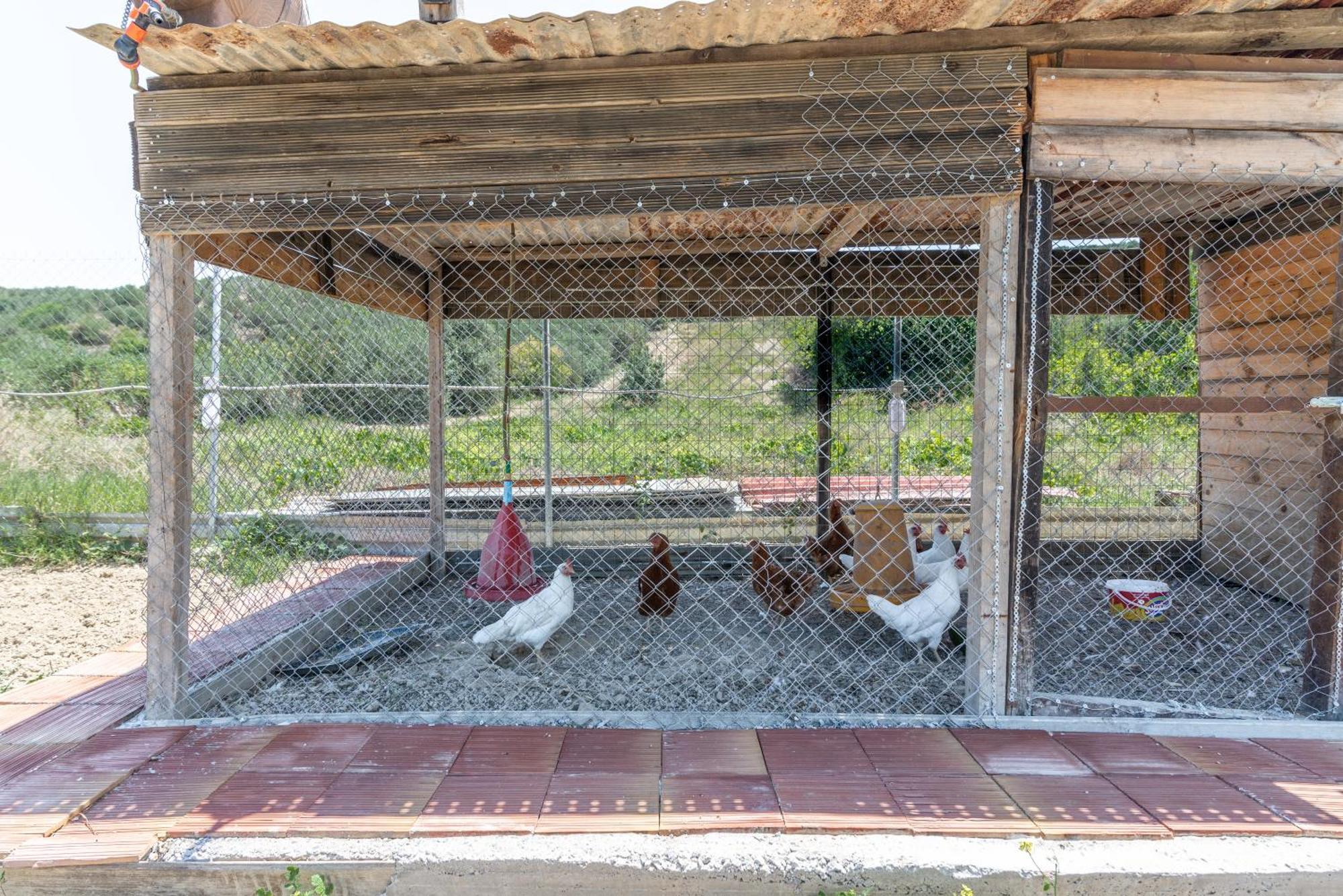 Countryhouse Villa With Pool & Private Parking Heraklion Exteriör bild